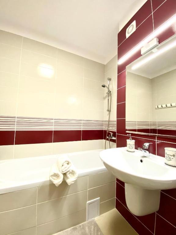 Barbeque Apartment Brasov